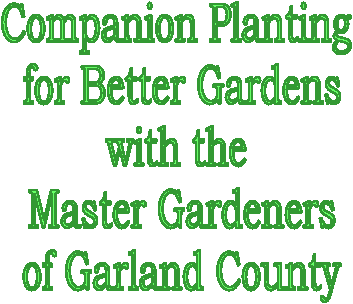 Companion Planting 
for Better Gardens
with the 
Master Gardeners
of Garland County